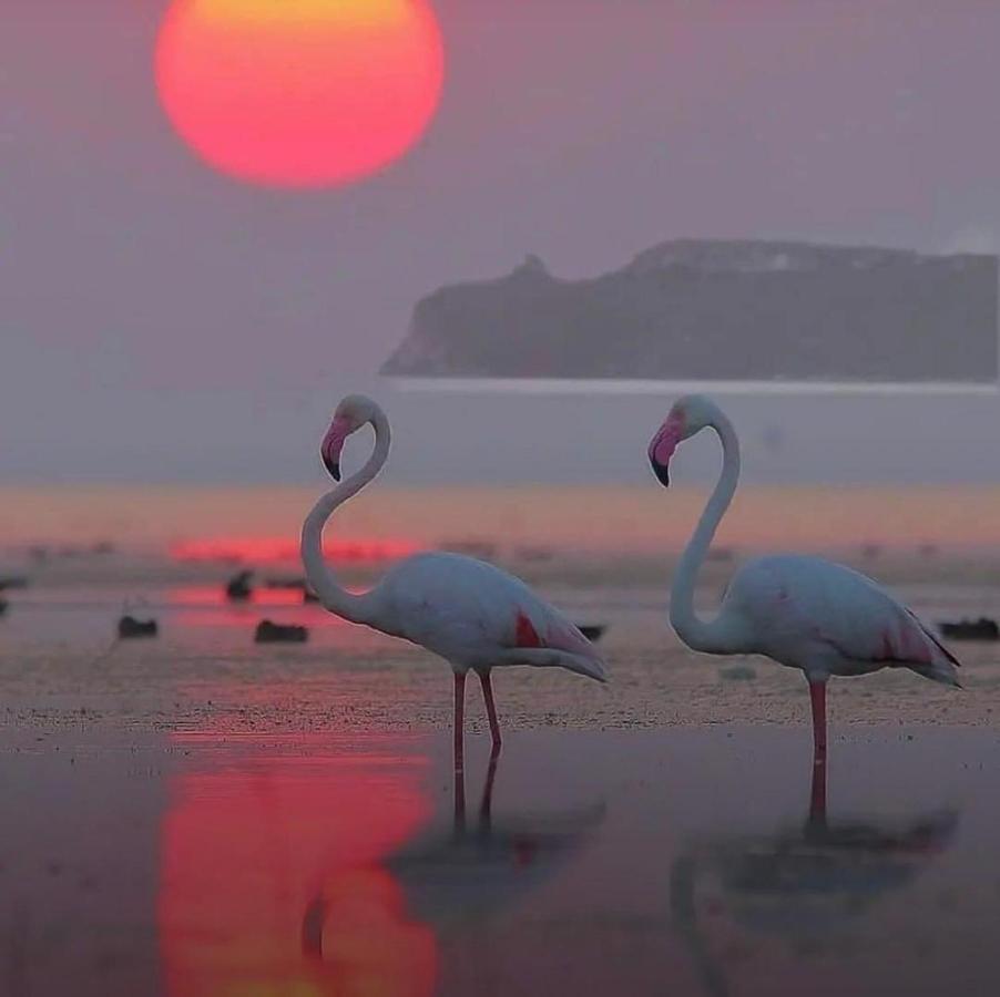 Appartamento Suite Sardinia Holiday Κάλιαρι Εξωτερικό φωτογραφία